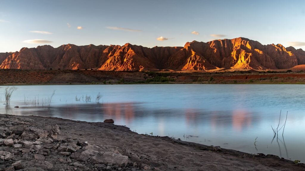 Shutterstock 1196060029 (1)