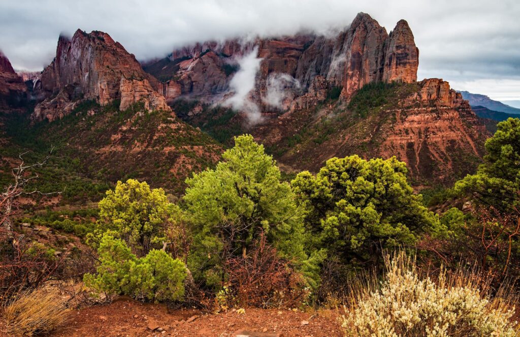 Shutterstock 2553851265 (1)