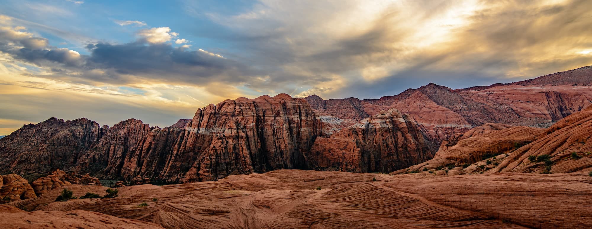 Shutterstock 734031406 (1)