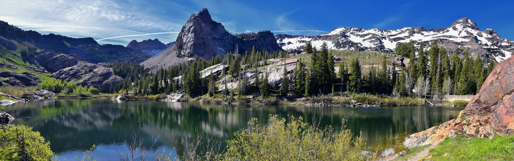 Shutterstock 1819907528 (1)